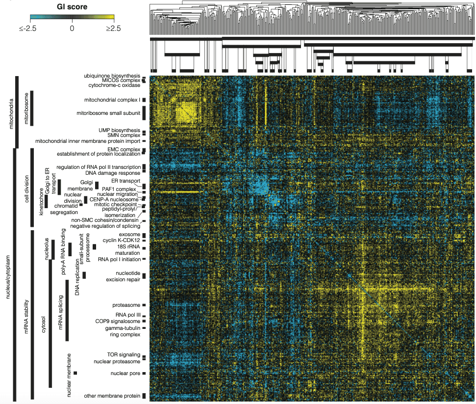 publication alt