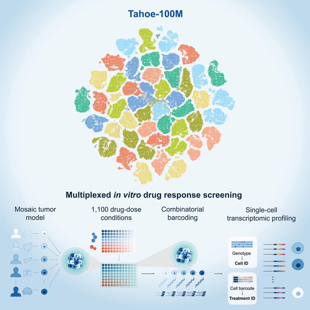Tahoe-100M: Mapping drug-induced molecular phenotypes at single-cell resolution