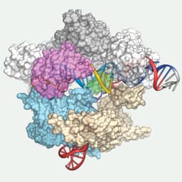 Hsu Lab - Arc Institute