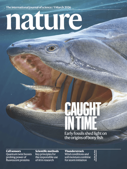 Genome modelling and design across all domains of life with Evo 2