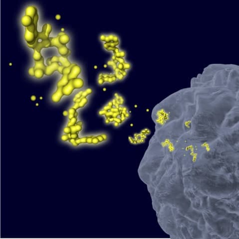 publication alt