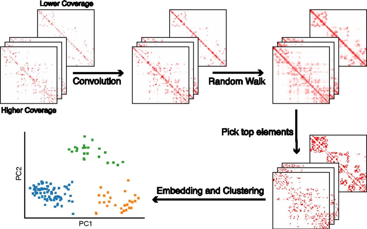 Robust single-cell Hi-C clustering by convolution- and random-walk–based imputation