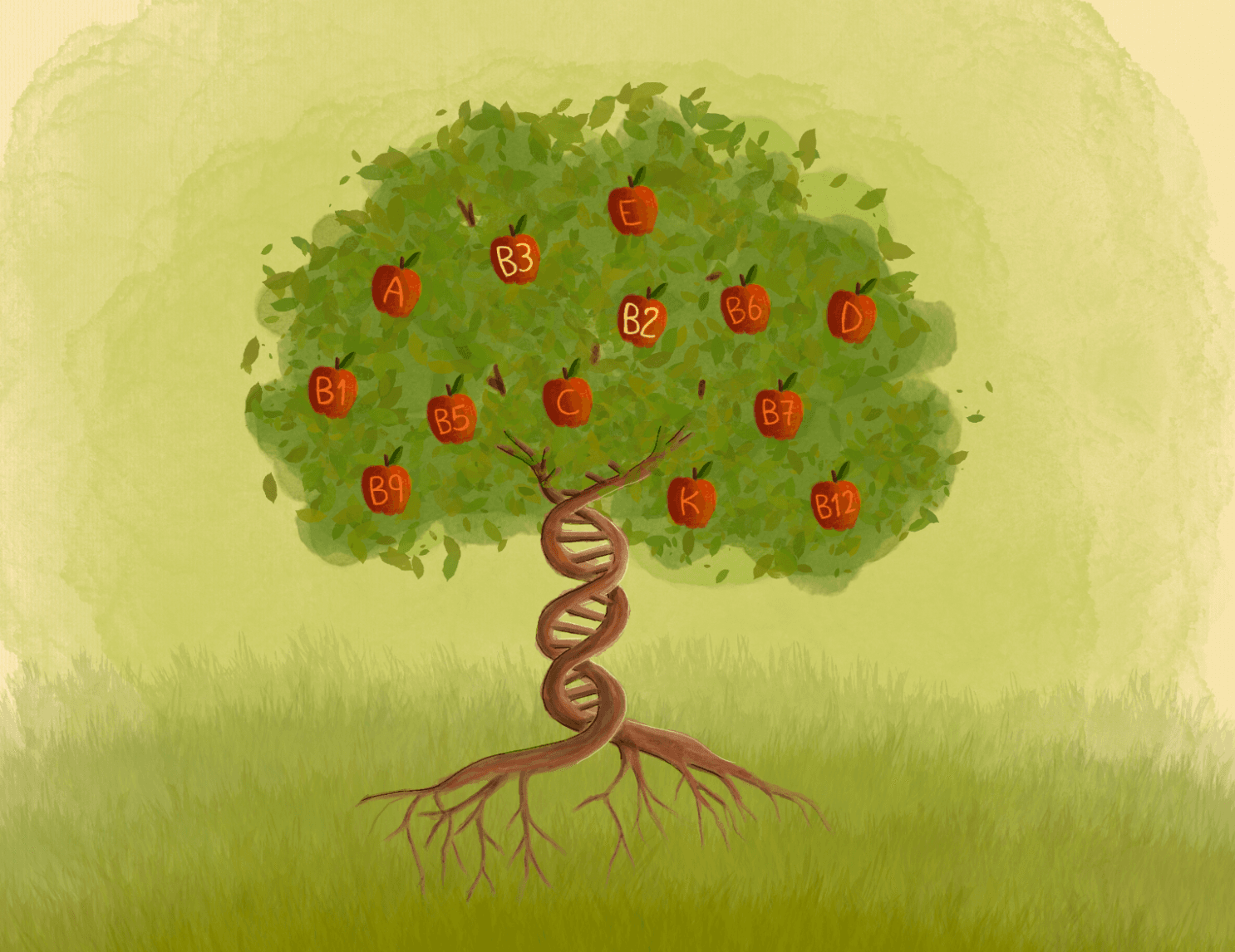 Illustration of a tree with DNA trunk bearing fruits labeled with vitamins