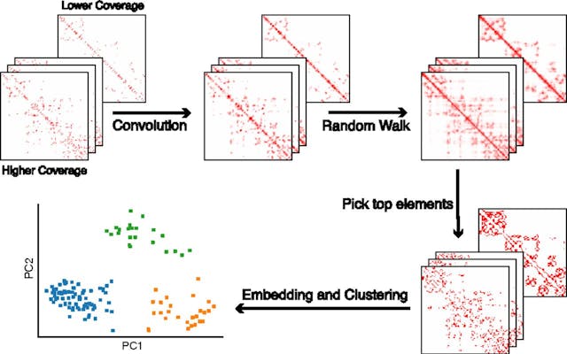 Robust single-cell Hi-C clustering by convolution- and random-walk–based imputation