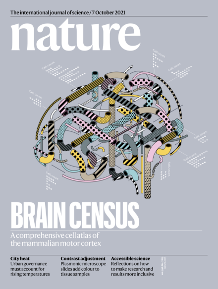 Epigenomic diversity of cortical projection neurons in the mouse brain