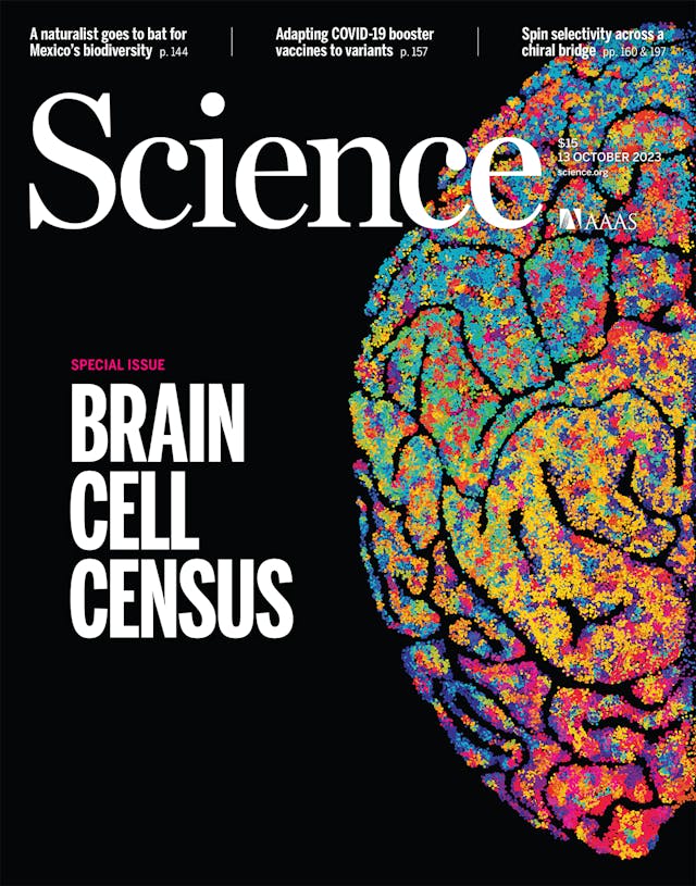 Single-cell DNA methylation and 3D genome architecture in the human brain