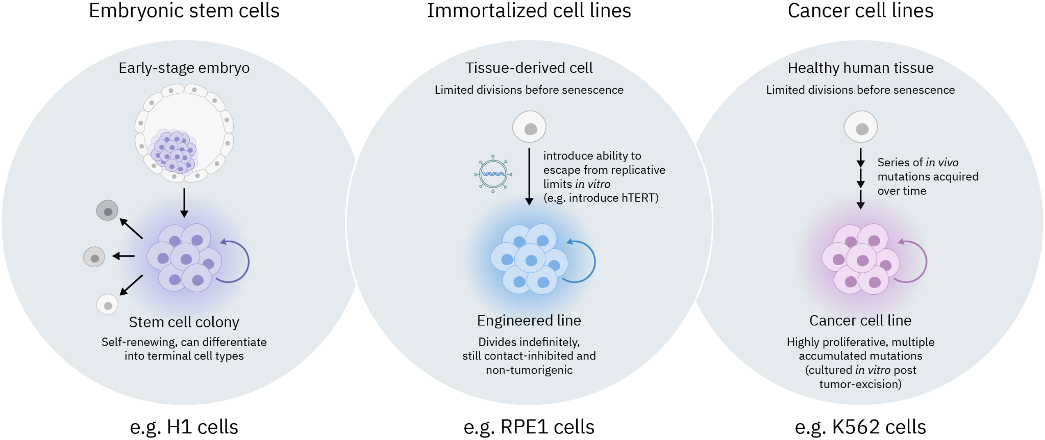 Figure 3. Cell line types commonly used in Perturb-seq experiments.