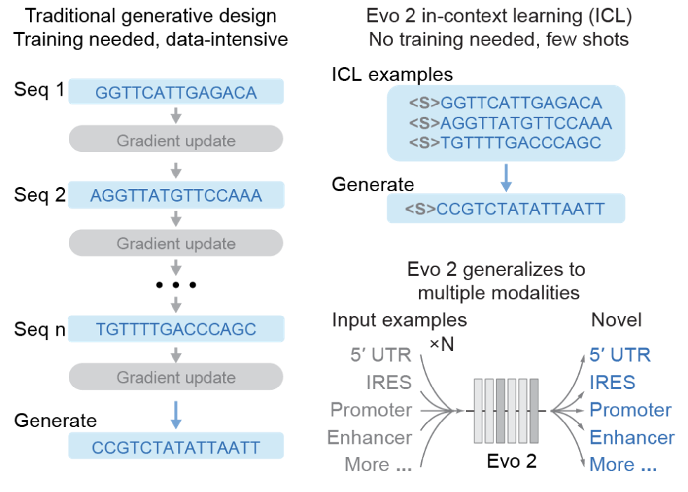 Evo 2 in-context sequence generation and predicted performance across regulatory modalities.