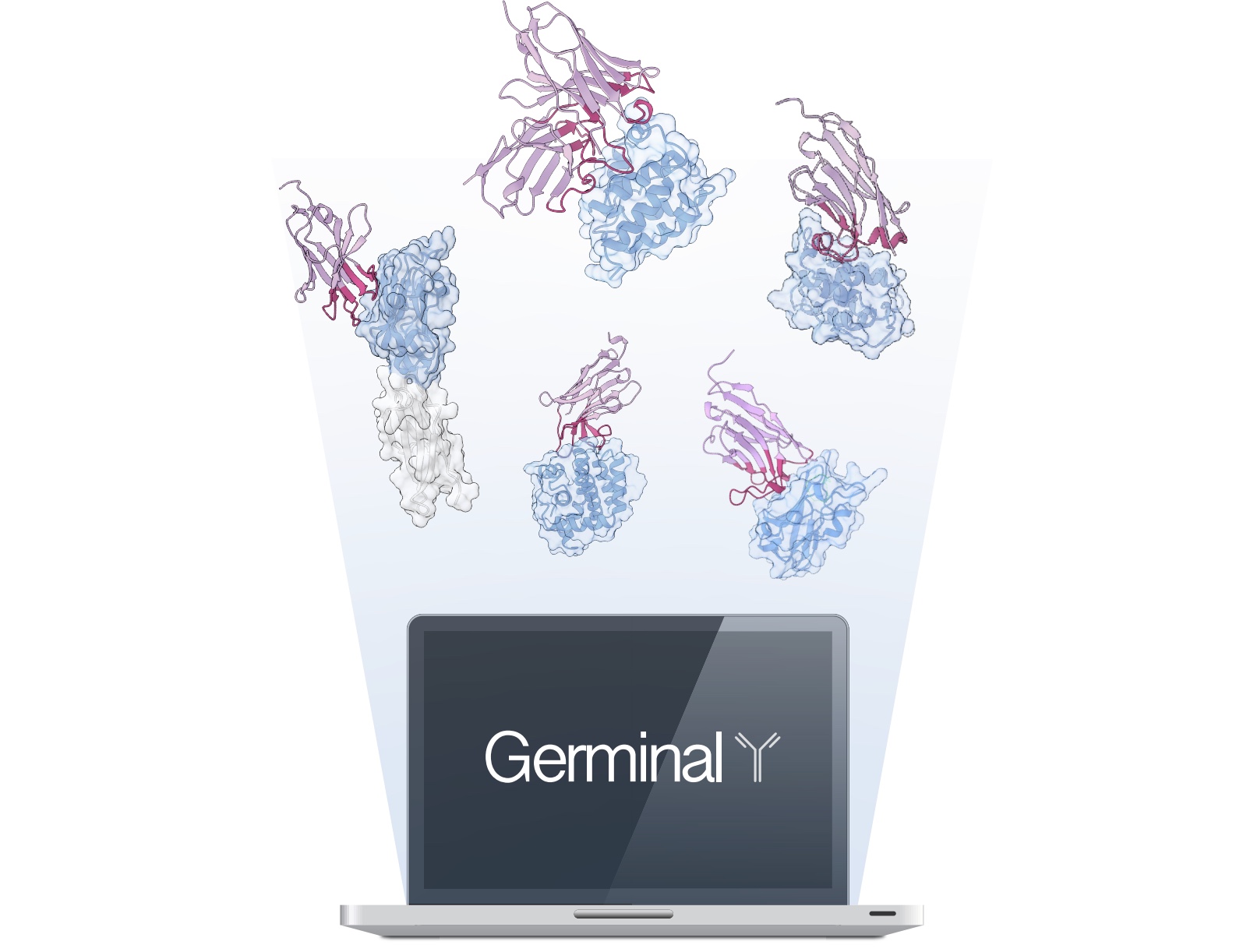 Building “Germinal” for AI-Designed Antibody Molecules