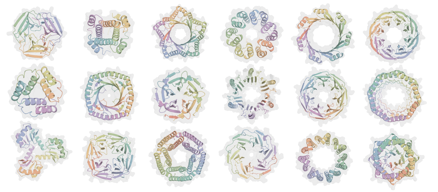 Predicted structures of symmetric protein complexes designed using Proto
