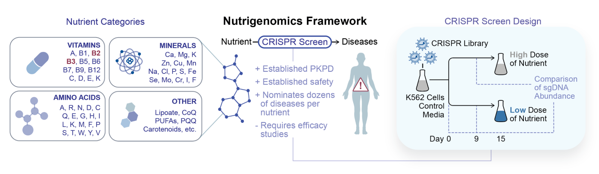 Nutrigenomics framework showing nutrient categories, CRISPR screen design, and the pipeline from nutrients through CRISPR screens to diseases