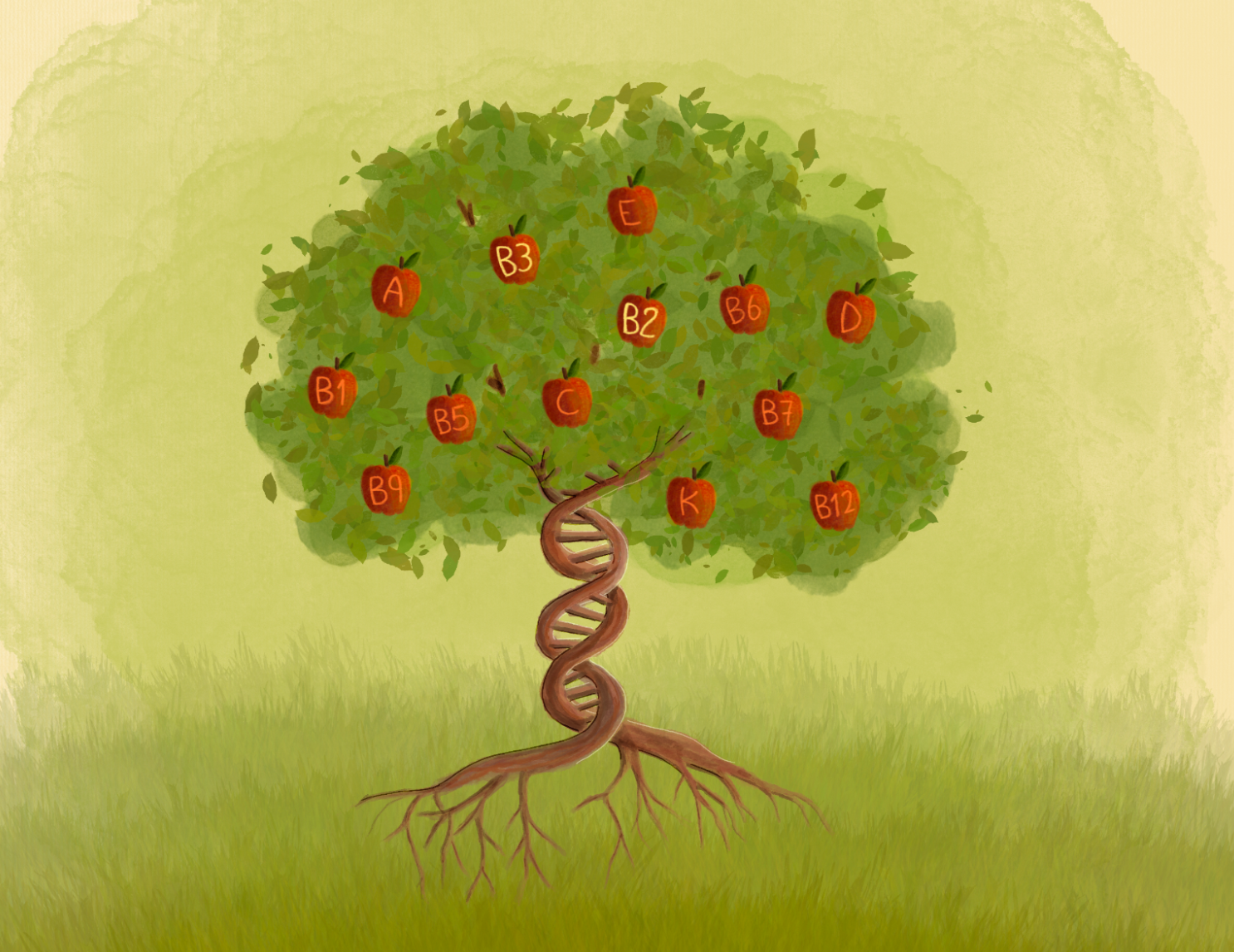 Illustration of a tree with DNA trunk bearing fruits labeled with vitamins